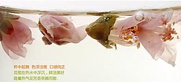 花茶淘宝页图片