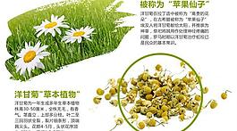 花茶淘宝页图片