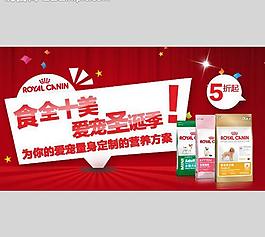 淘宝 钻展 猫粮 狗图片