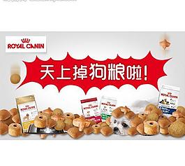 淘宝 钻展 猫粮 狗图片