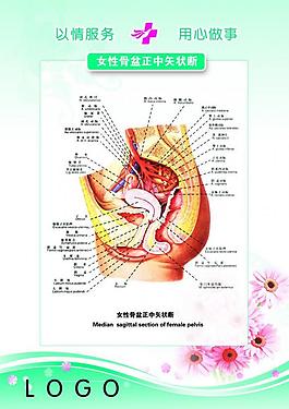 医院展板图片