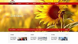 集团网页图片