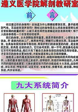 医院易拉宝海报图片