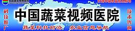 中国蔬菜视频医院图片