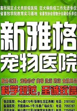 宠物医院海报图片