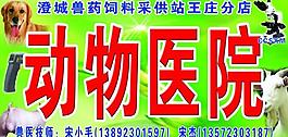 动物医院图片