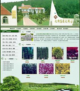 中文网站模版图片