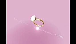 婚礼视频素材图片