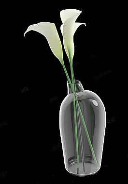 百合花模型