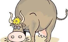 卡通生肖牛矢量图素材017