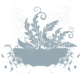 生长在泥土上的花