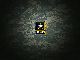 US.army  标志