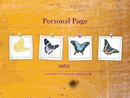 flash动画整站图片