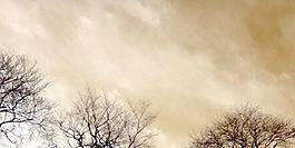 15834_玻璃贴图_反射贴图