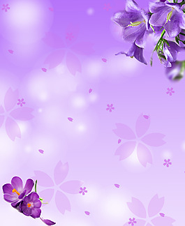 美丽梦幻紫色背景