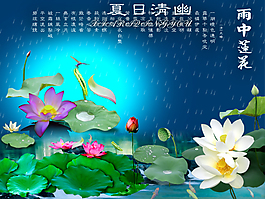 雨中莲花