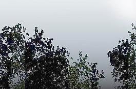 15859_玻璃贴图_反射贴图