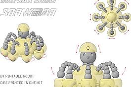 滚珠（机器人）雪人develop3d COMP输入