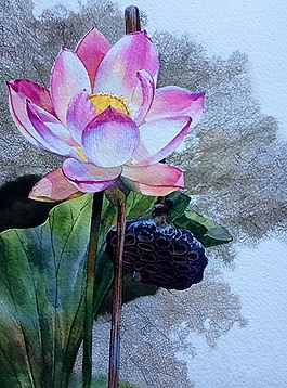 位图 写意花卉 植物 花朵 荷花 免费素材