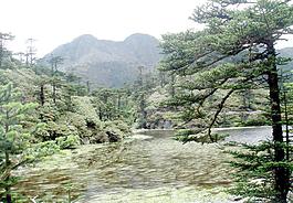 仙草湖3