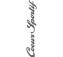 Coeur_Sportif logo设计欣赏 Coeur_Sportif运动赛事标志下载标志设计欣赏