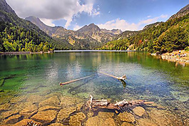 位图 插画师 Francisco Antunes 葡萄牙 免费素材