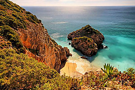 位图 插画师 Francisco Antunes 葡萄牙 免费素材