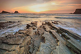 位图 插画师 Francisco Antunes 葡萄牙 免费素材