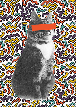 位图 psd 动物 猫 几何 免费素材