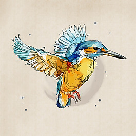 水彩鸟类专题图片 水彩鸟类专题素材 水彩鸟类专题模板免费下载 六图网