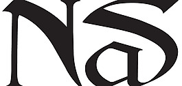Nas logo设计欣赏 NasCD唱片标志下载标志设计欣赏