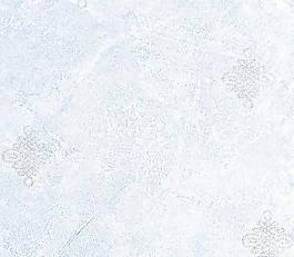 12769_壁纸_风格