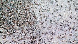 3107_金属_生锈