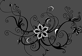 花藤AE模板展示