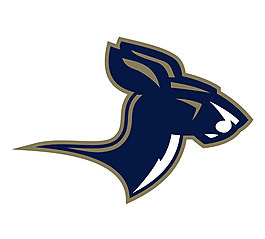 Akron_Zips(4) logo设计欣赏 Akron_Zips(4)大学标志下载标志设计欣赏