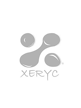XERYC logo设计欣赏 XERYC设计标志下载标志设计欣赏