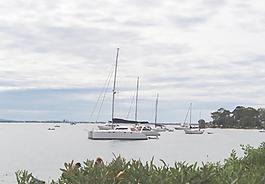 悉尼海景图片