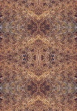 58764_皮革_蛇皮