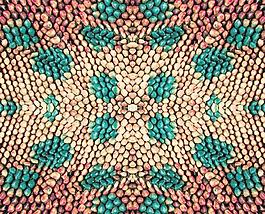 58765_皮革_蛇皮