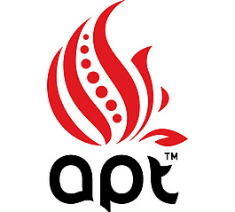 Apt logo设计欣赏 Apt设计公司标志下载标志设计欣赏