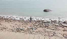 厦门海景 捡贝壳图片