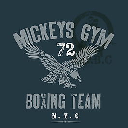 图片矢量鹰图片金鹰一款惟妙惟肖的老鹰头矢量素材鹰之星海角不列塔