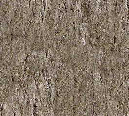 59945_肌理油彩_生物理