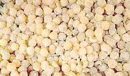 64877_肌理油彩_生物理