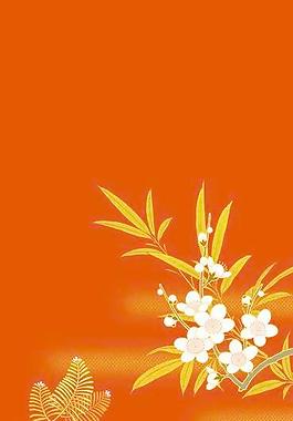 40515_图案纹理_花纹