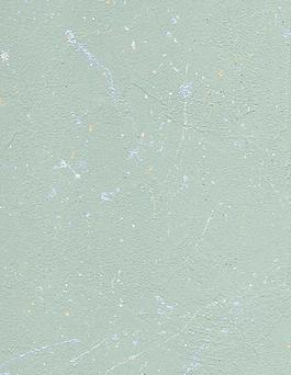 741_墙面_喷涂凹凸