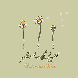 印花矢量图 植物 花朵 文字 数字 免费素材