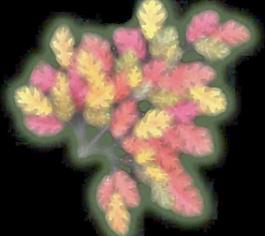 13993_自然材质_草地