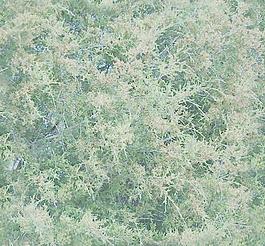 31823_自然材质_草地