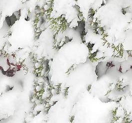30332_自然材质_冰雪